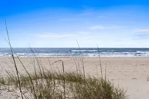 1649 Woodview Cir SW, Ocean Isle Beach, NC 28469 - Photo 48