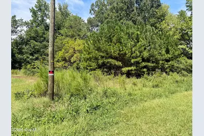 000 Mt Zion Church Road, Nashville, NC 27856 - Photo 2