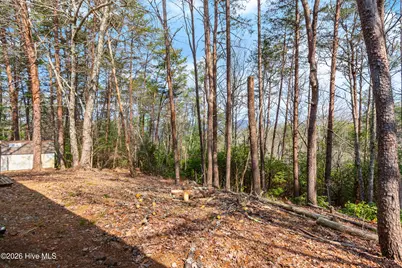 89 Kanati Trail, Murphy, NC 28906 - Photo 44