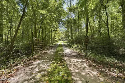 1477 Marks Creek Church Road, Laurel Hill, NC 28351 - Photo 28