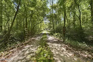 1477 Marks Creek Church Rd, Laurel Hill, NC 28351 - Photo 28