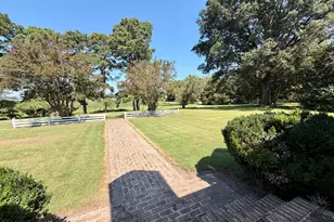 27668 Carolina 125, Scotland Neck, NC 27874 - Photo 8