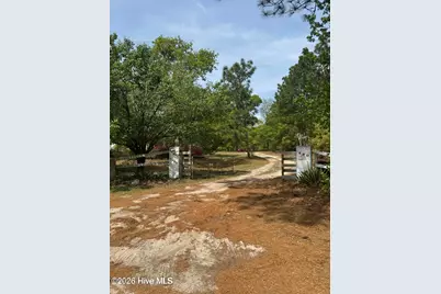 490 Springhill Church Road, Hamlet, NC 28345 - Photo 30