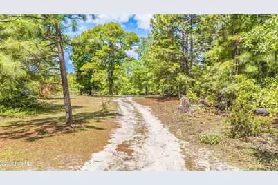 490 Springhill Church Road, Hamlet, NC 28345 - Photo 70