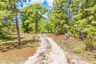 490 Springhill Church Rd, Hamlet, NC 28345 - Photo 70