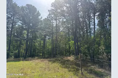 490 Springhill Church Road, Hamlet, NC 28345 - Photo 40