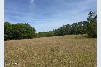 490 Springhill Church Road, Hamlet, NC 28345 - Photo 44