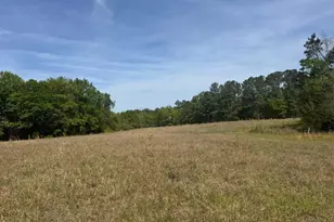 490 Springhill Church Rd, Hamlet, NC 28345 - Photo 44