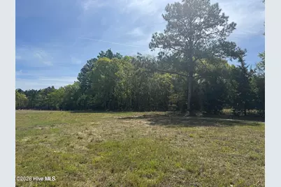 490 Springhill Church Road, Hamlet, NC 28345 - Photo 48