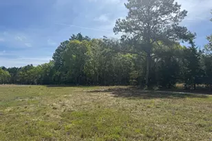 490 Springhill Church Rd, Hamlet, NC 28345 - Photo 48