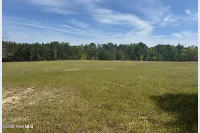 490 Springhill Church Road, Hamlet, NC 28345 - Photo 52