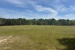 490 Springhill Church Rd, Hamlet, NC 28345 - Photo 52