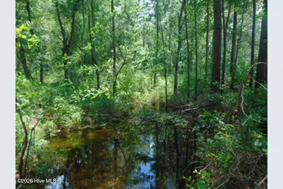 490 Springhill Church Road, Hamlet, NC 28345 - Photo 24