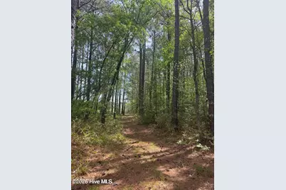 490 Springhill Church Road, Hamlet, NC 28345 - Photo 36