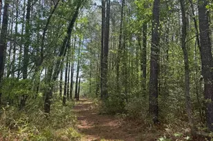 490 Springhill Church Rd, Hamlet, NC 28345 - Photo 36