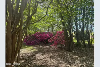 490 Springhill Church Road, Hamlet, NC 28345 - Photo 28
