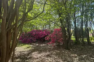490 Springhill Church Rd, Hamlet, NC 28345 - Photo 28