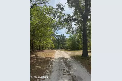490 Springhill Church Road, Hamlet, NC 28345 - Photo 32
