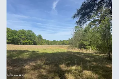 490 Springhill Church Road, Hamlet, NC 28345 - Photo 46