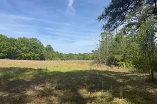 490 Springhill Church Rd, Hamlet, NC 28345 - Photo 46
