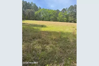 490 Springhill Church Road, Hamlet, NC 28345 - Photo 38