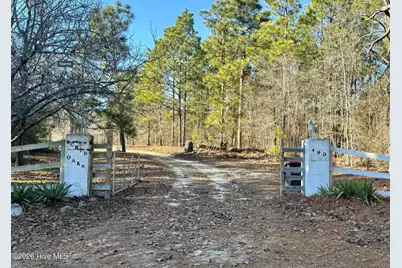 490 Springhill Church Road, Hamlet, NC 28345 - Photo 2