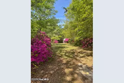 490 Springhill Church Road, Hamlet, NC 28345 - Photo 54