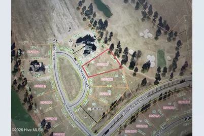 9 Chickadee Loop, Snow Hill, NC 28580 - Photo 20
