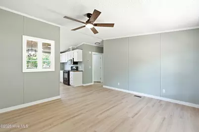101 Larch Court, Hubert, NC 28539 - Photo 6