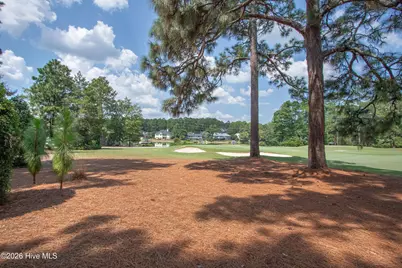 285 Sugar Gum Lane #- 12 Aronimink, Pinehurst, NC 28374 - Photo 38