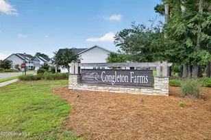 1347 Big Cypress Loop, Wilmington, NC 28409 - Photo 46