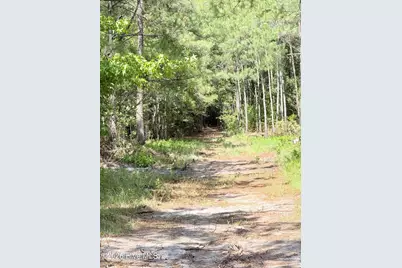 00 Seaside. (12.25 Acres) Road SW, Sunset Beach, NC 28468 - Photo 10