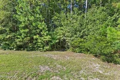 344 Island Creek Road, Rocky Point, NC 28457 - Photo 54