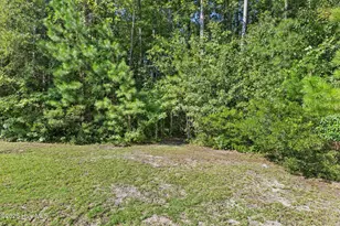 344 Island Creek Rd, Rocky Point, NC 28457 - Photo 54