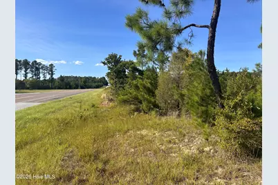 Hwy 139 and Hwy 28 Old Plum Branch Rd S, Plum Branch, SC 29845 - Photo 2