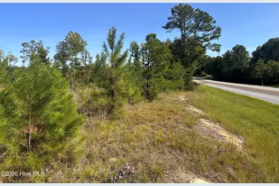 Hwy 139 and Hwy 28 Old Plum Branch Rd S, Plum Branch, SC 29845 - Photo 4