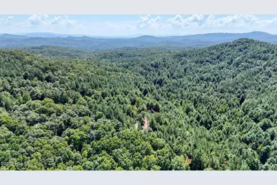 226 Choctaw Ridge Trail, Murphy, NC 28906 - Photo 44