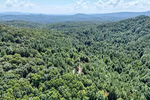 226 Choctaw Ridge Trail, Murphy, NC 28906 - Photo 44