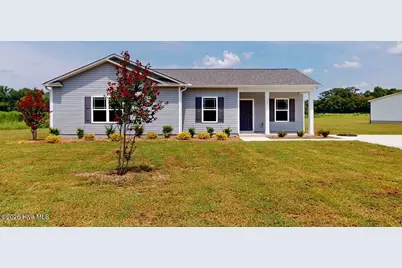 225 Swinson Drive, Dudley, NC 28333 - Photo 2