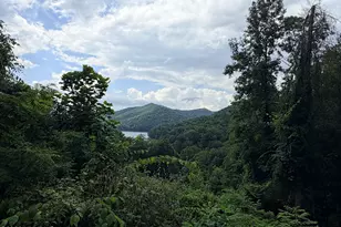 227 Aquone Overlook Rdg, Topton, NC 28781 - Photo 2