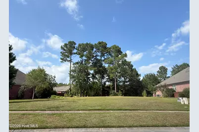 907 Spicebush Drive, Leland, NC 28479 - Photo 2