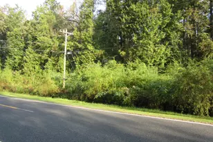 Near 1671 Old Wilmington Rd, Whiteville, NC 28472 - Photo 1