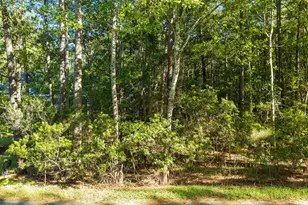 172 Country Club Dr SW, Shallotte, NC 28470 - Photo 44