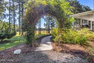 18078 Nc Hwy 210 E, Ivanhoe, NC 28447 - Photo 66