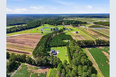 18078 Nc Hwy 210 E, Ivanhoe, NC 28447 - Photo 102
