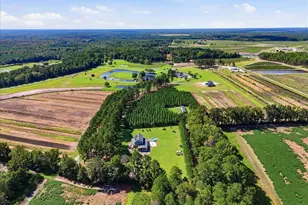 18078 Nc Hwy 210 E, Ivanhoe, NC 28447 - Photo 102