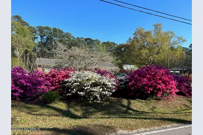 239 Peiffer Avenue, Wilmington, NC 28409 - Photo 32