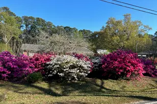 239 Peiffer Ave, Wilmington, NC 28409 - Photo 32