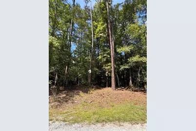 1D Gelding Gap Lane, Carthage, NC 28327 - Photo 4