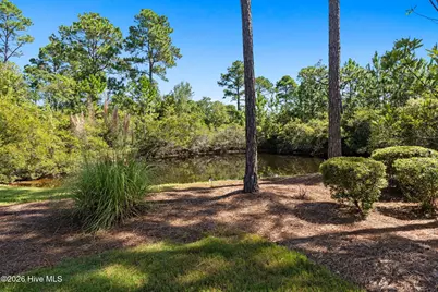 3551 White Spruce Glen, Southport, NC 28461 - Photo 82